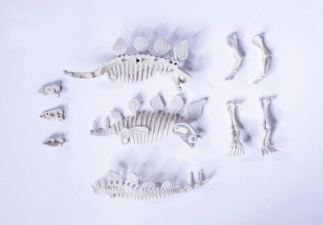 Set za iskopavanje i sastavljanje kostura dinosaura