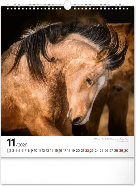 Zidni kalendar Konji 2026
