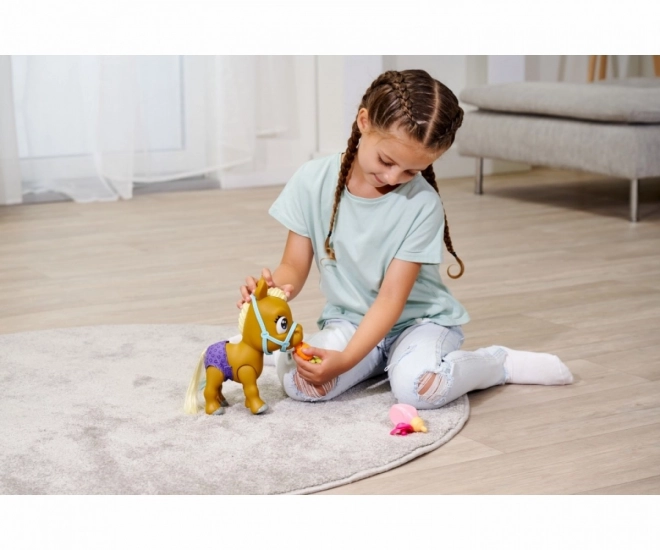 Pamper Petz Poni s pelenskog partyja