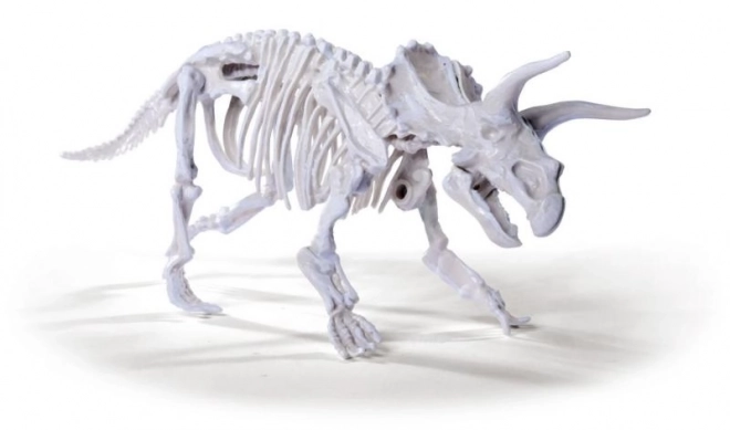 Set za iskopavanje i sastavljanje kostura dinosaura