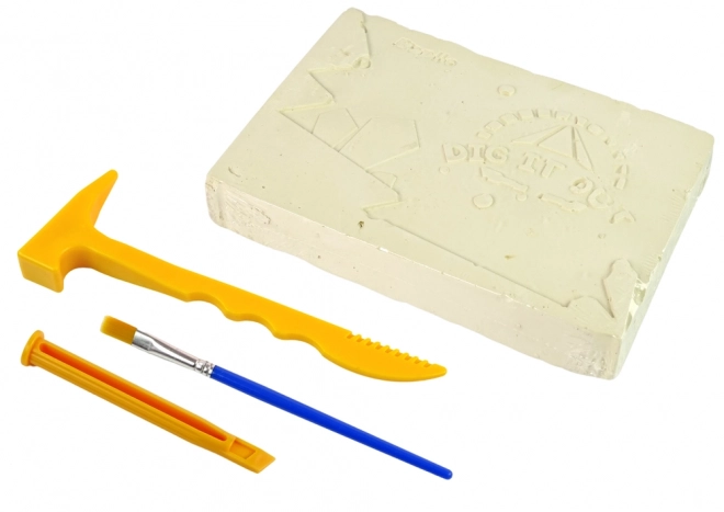 Set iskopina: Otkriće morskih životinja