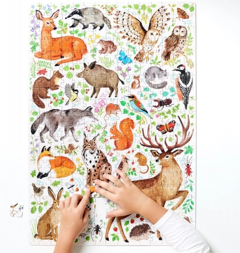 Plakat sa zanimljivostima o prirodi