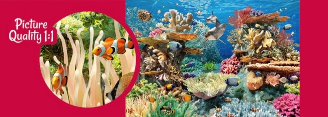 Puzzle Koraljni greben 500 dijelova