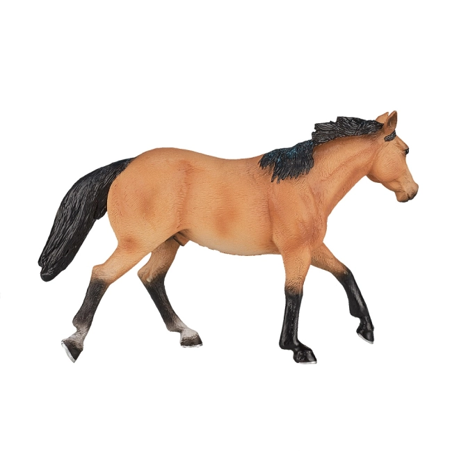 Vjerno prikazana pasmina QUARTER HORSE