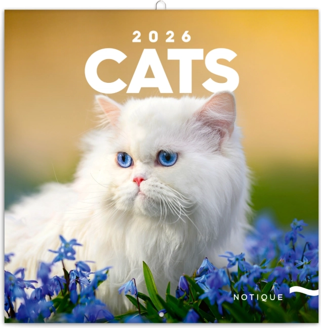 Zapisnički kalendar Mačke 2026