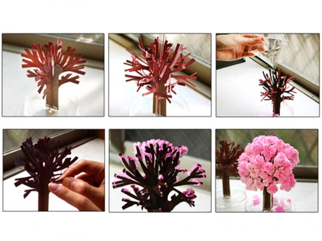 Čarobno stablo Sakura