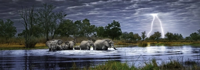 panoramske puzzle Slonovo krdo Botswana 2000 dijelova