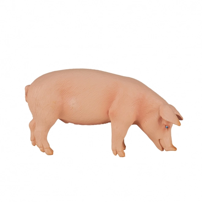 Mojo svinja figurica