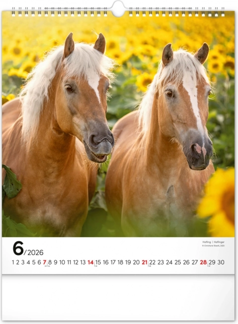 Zidni kalendar Konji 2026