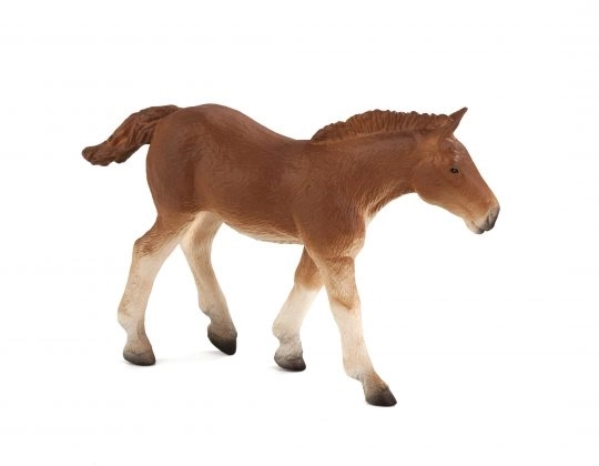 Mojo figurica ždrijebe Suffolk Punch