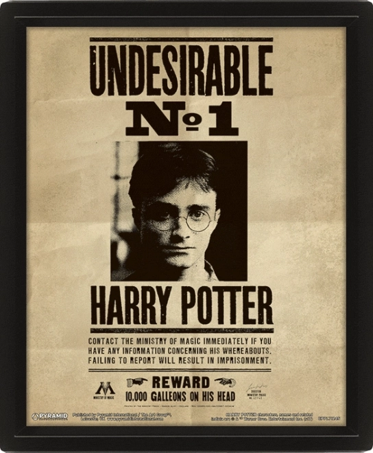 3D slika Harry Potter - Sirius
