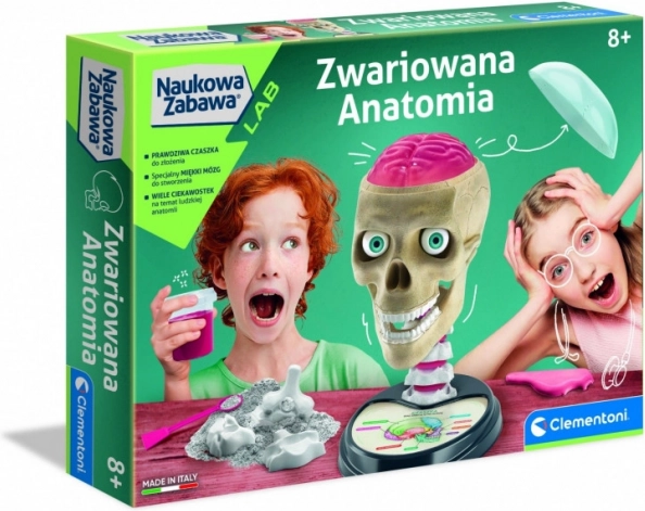 Luda anatomija edukativni set