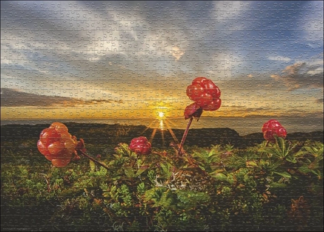 Puzzle Heye Kupine Moruška 1000 dijelova