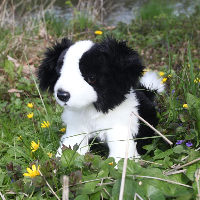 Plišana igračka Border Collie 30 cm od Rappa - Eco-Friendly