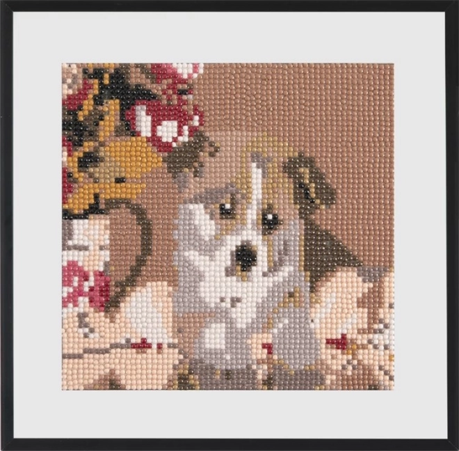 GRAFIX Dijamantno slikanje Slatko štene 20x20cm