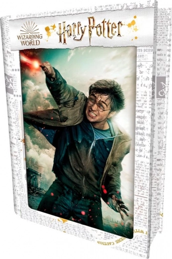 3D puzzle HARRY POTTER – Harry, 300 dijelova