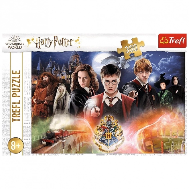 Tajanstveni Harry Potter puzzle 300 dijelova