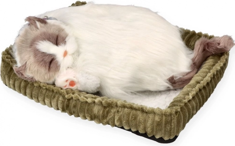 Realističan san za umirenje