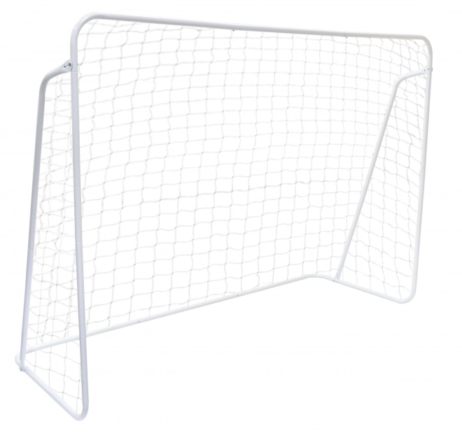 Nogometna gol s mrežom 240x160cm ECOTOYS