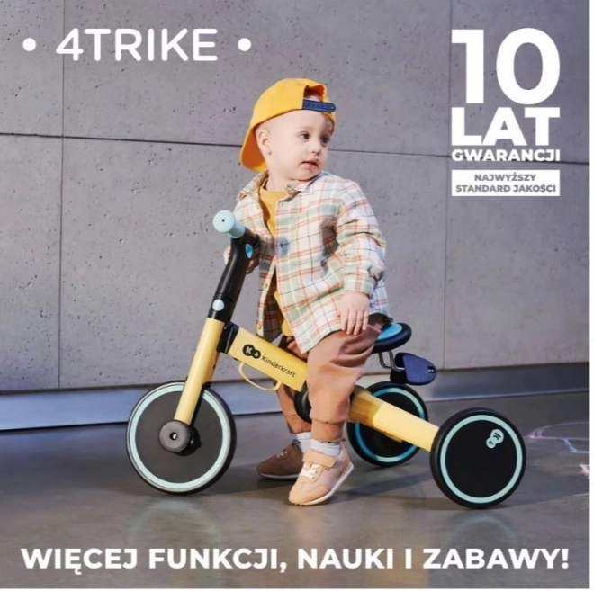 Trokolica 4TRIKE SREBRNO SIVA