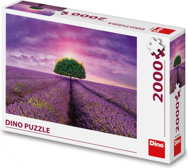 Puzzle Polje lavande 2000 dijelova