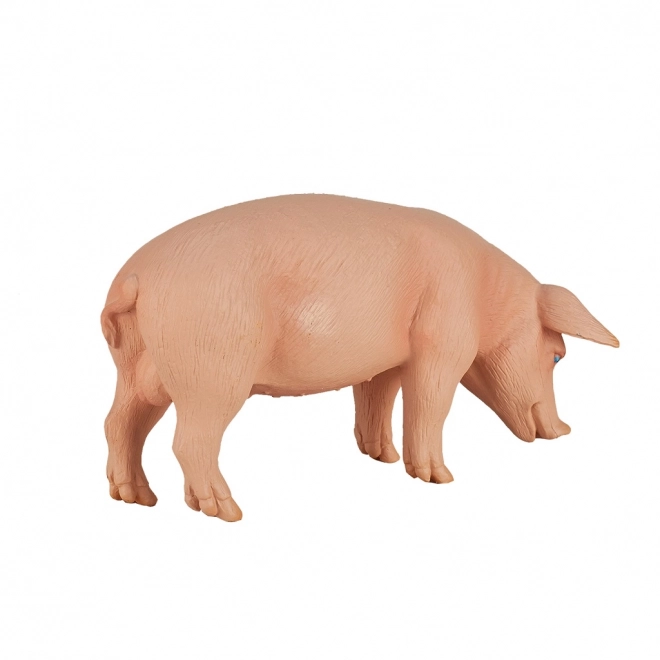 Mojo svinja figurica