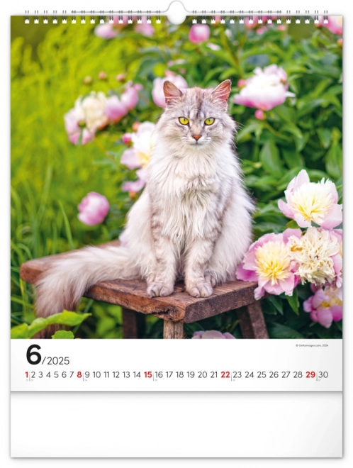 Zidni kalendar Mačke 2025, 30 × 34 cm