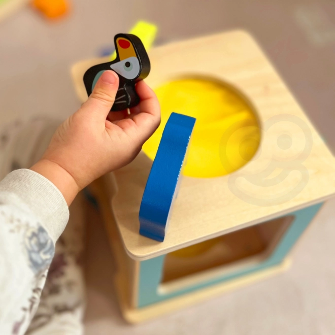 Edukativni Montessori kutija za djecu u dobi od 31-36 mjeseci