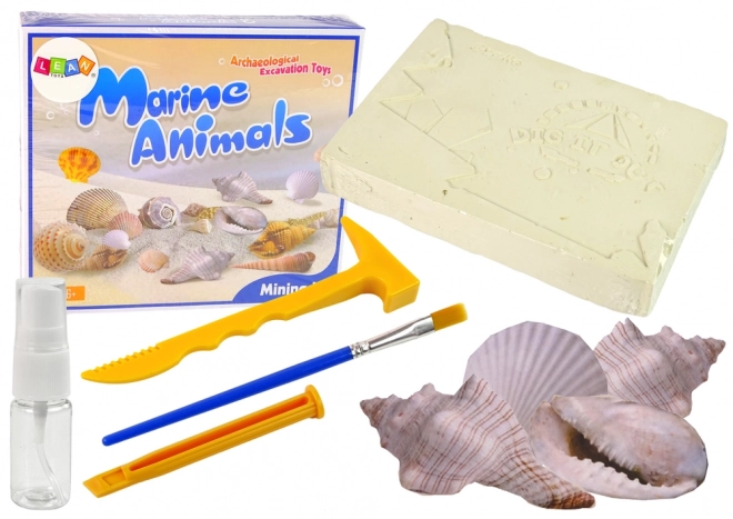Set iskopina: Otkriće morskih životinja