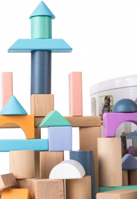 Drvene kocke 100 kom u kanti sa sorterom Ecotoys