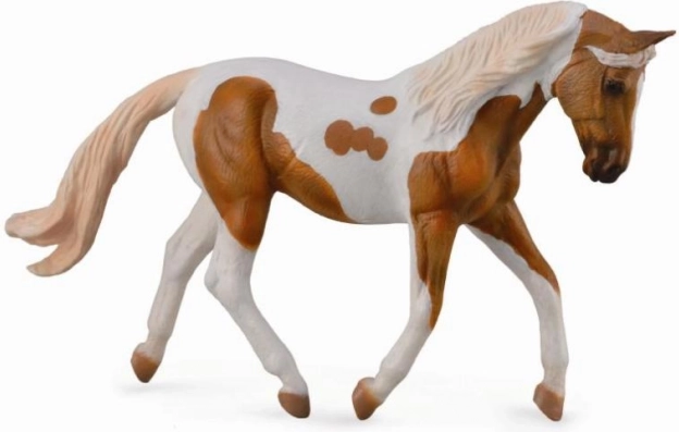 Collecta ždrijebe palomino