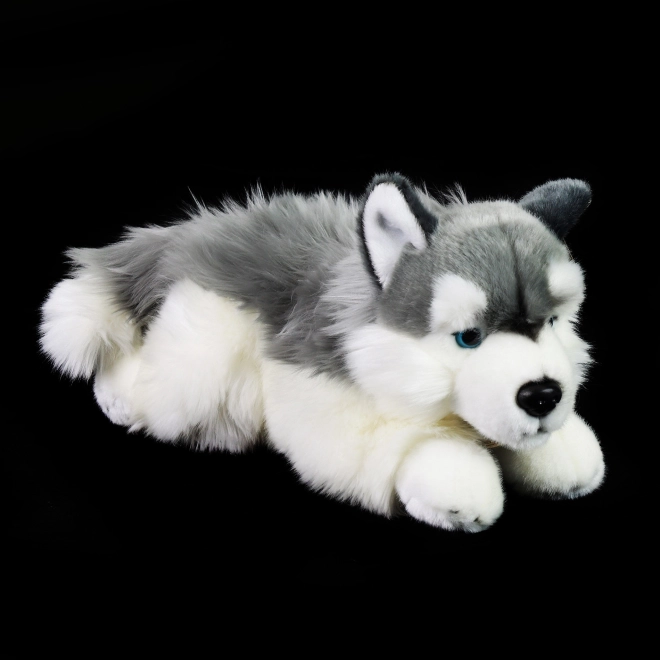 Rappa plišani pas husky ležeći 30 cm