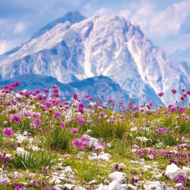 Kalendar za bilješke Alpe 2026