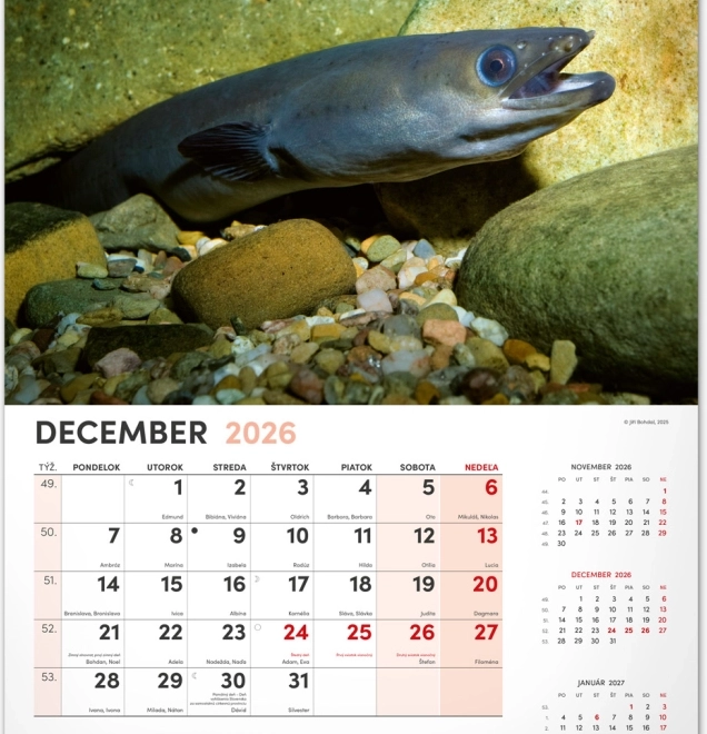 Zidni kalendar Ribolovački 2026