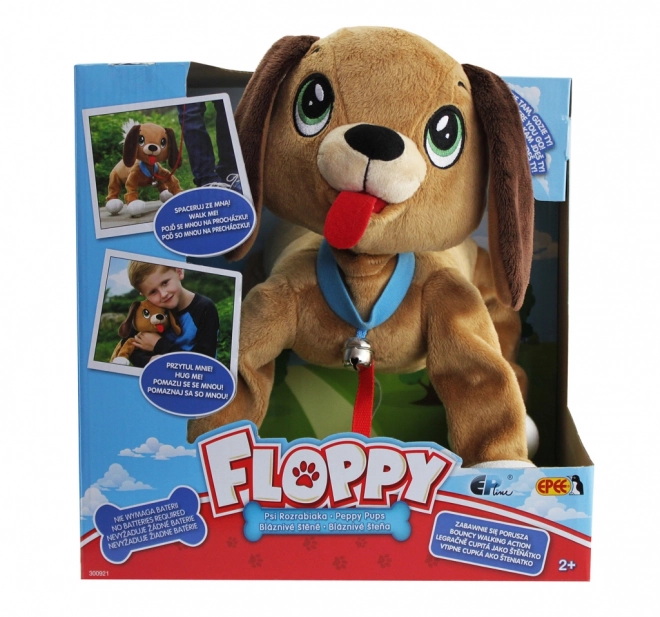 Psić Floppy