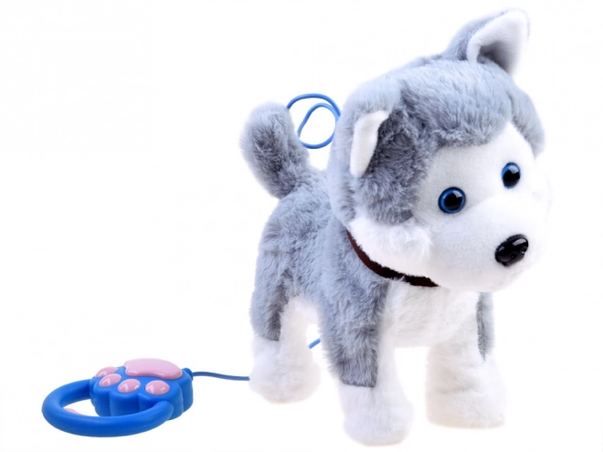 Interaktivni psić Husky na povodcu