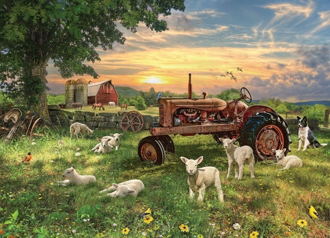 Puzzle polje pri izlasku sunca od Cobble Hill 1000 dijelova