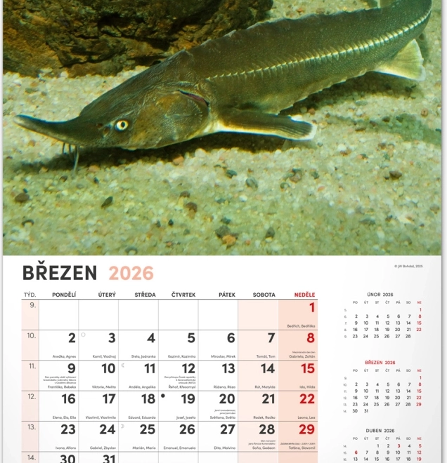 Zidni kalendar Ribički 2026