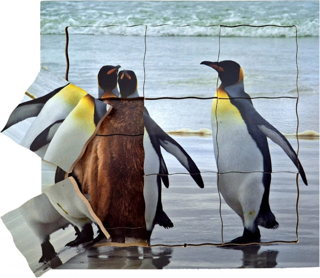 Just Jigsaws drvene slojevite puzzle Pingvin i njegov životni ciklus 19 dijelova
