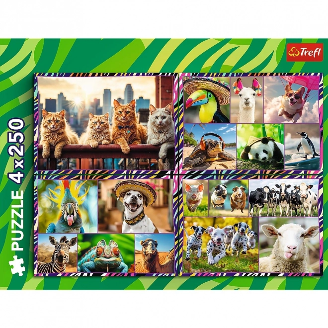 Puzzle 4x250 zabavna životinja