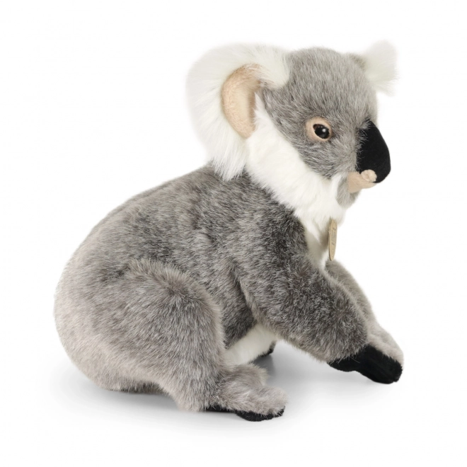 Plišani koala stojeći 25 cm eco-friendly