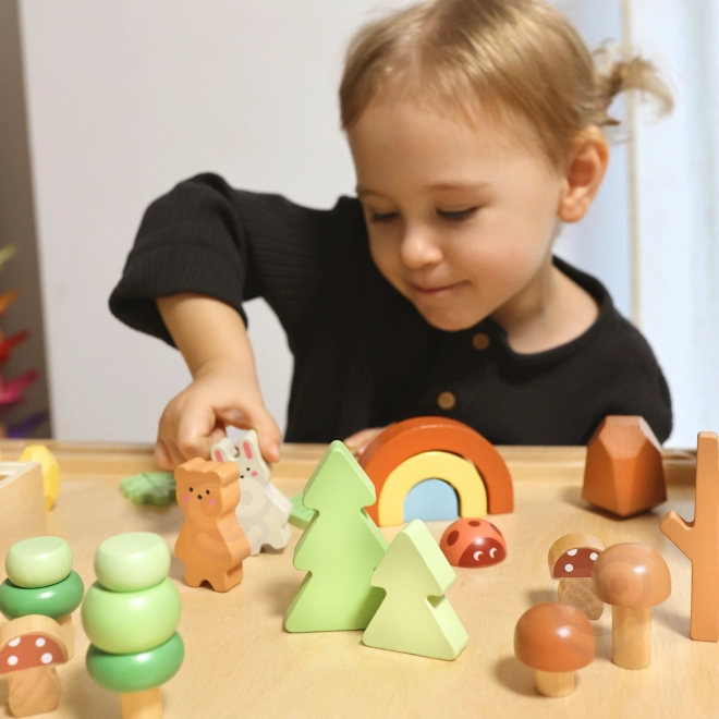 Šumski set s drvenim kockama Tooky Toy