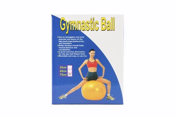 Gimnastička lopta 75cm rehabilitacijska opuštajuća u kutiji 16x22cm