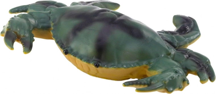 Realistične boje i različite vrste morskih životinja