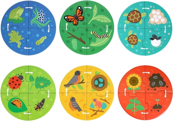 Petit Collage Puzzle Istraživača Životnog Ciklusa