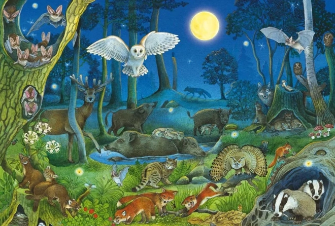 Puzzle Šumske životinje noću 100 dijelova