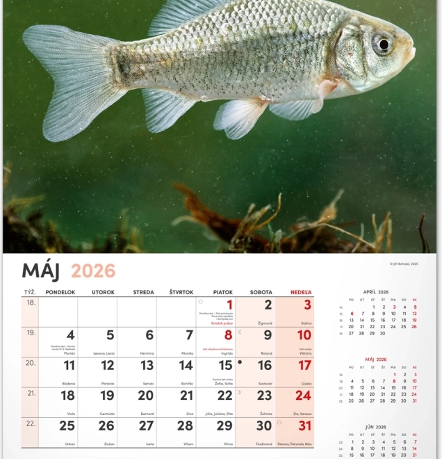 Zidni kalendar Ribolovački 2026