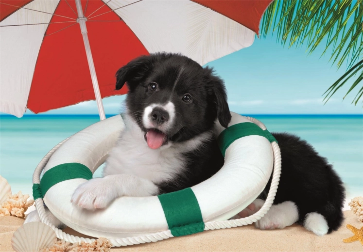 Zabavan ljetni motiv plaže