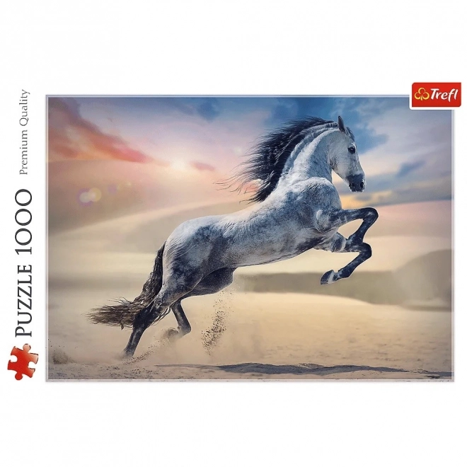 Puzzle 1000 komada Veličanstveni konj
