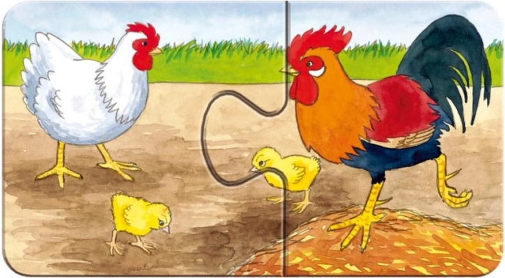 RAVENSBURGER kvaliteta bez odsjaja